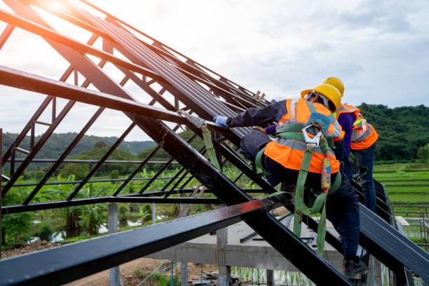 Best Roof Repair Specialists  in Camanche, IA