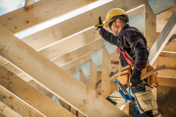 Best Roof Waterproofing Services  in Camanche, IA