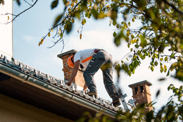 Roof Gutter Cleaning in Camanche, IA