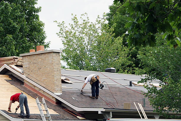 Best Roof Repair Services  in Camanche, IA