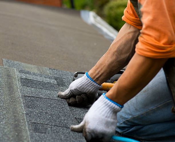 Roof Repair Estimates in Camanche, IA