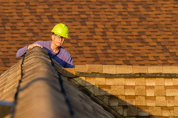 Best Roof Leak Repair  in Camanche, IA