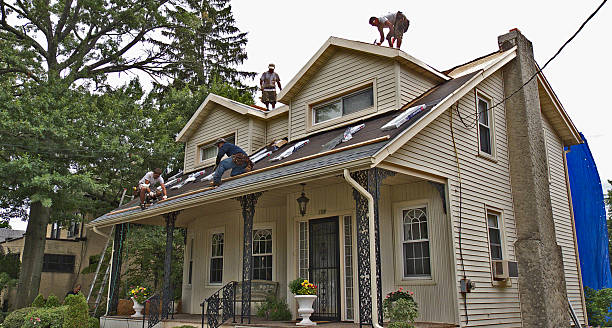 Best Metal Roofing Contractor  in Camanche, IA