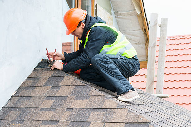 Best Roof Gutter Cleaning  in Camanche, IA